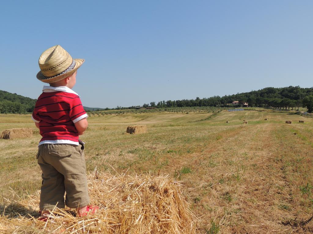 Agriturismo Podere Borgognano マッサ・マリッティマ エクステリア 写真