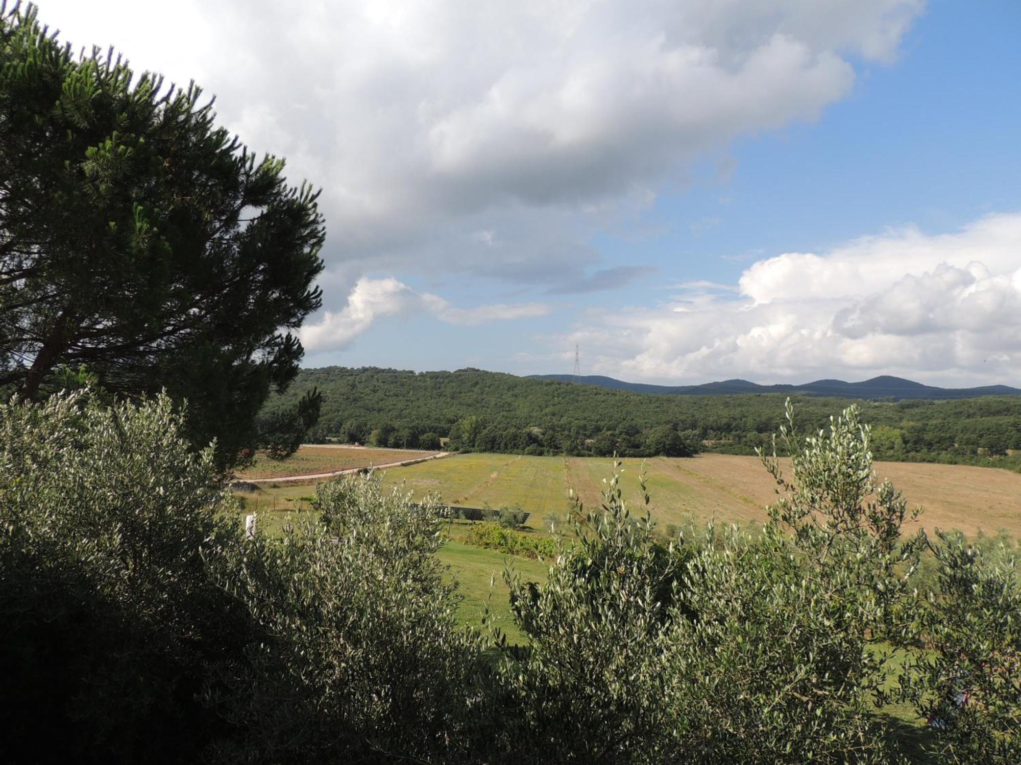 Agriturismo Podere Borgognano マッサ・マリッティマ 部屋 写真