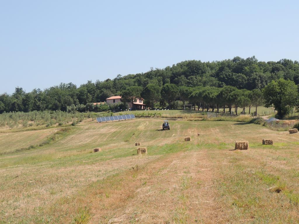Agriturismo Podere Borgognano マッサ・マリッティマ エクステリア 写真