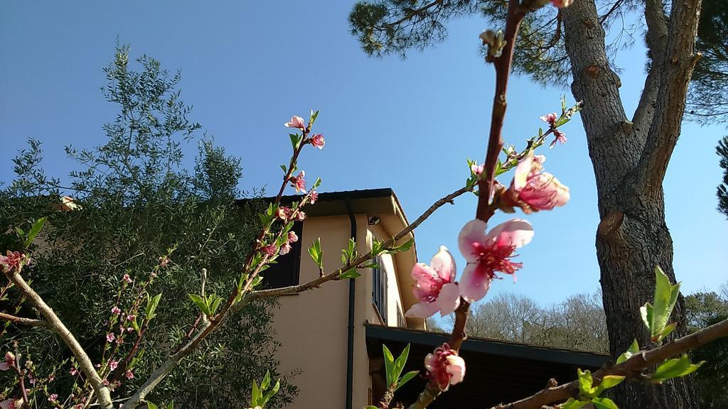 Agriturismo Podere Borgognano マッサ・マリッティマ エクステリア 写真