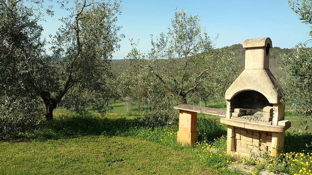 Agriturismo Podere Borgognano マッサ・マリッティマ エクステリア 写真