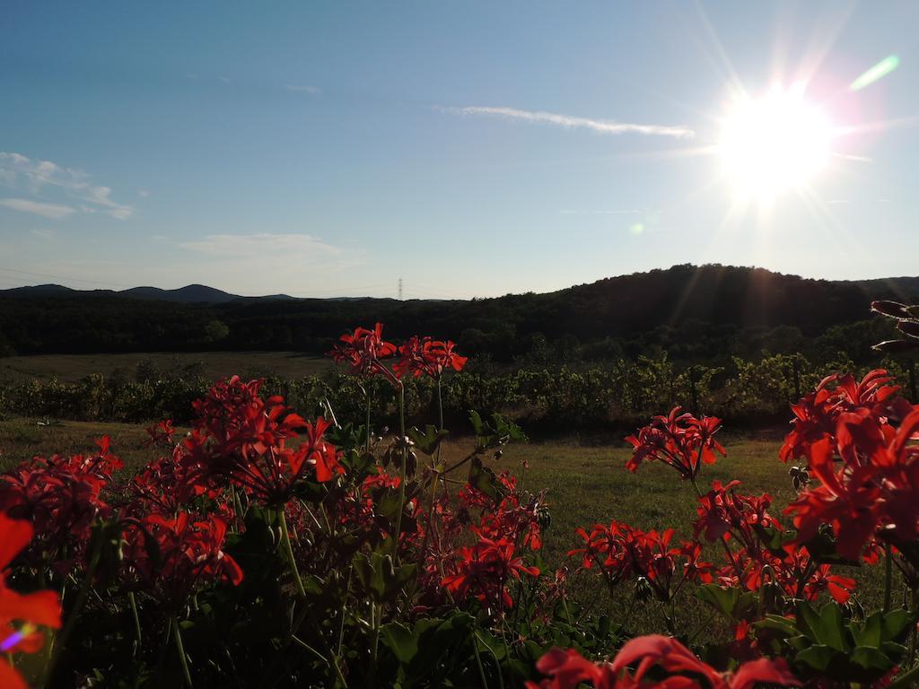 Agriturismo Podere Borgognano マッサ・マリッティマ エクステリア 写真